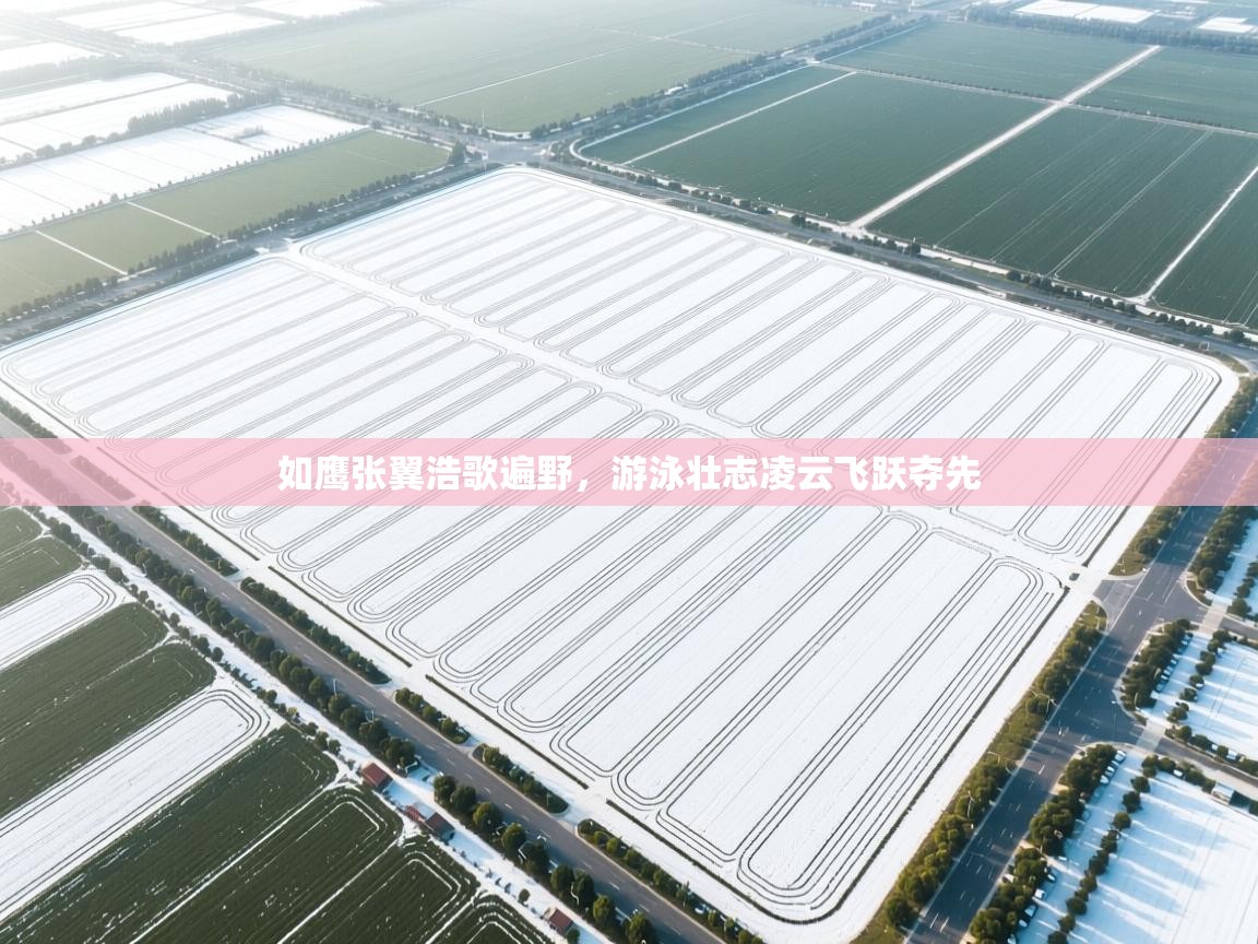 如鹰张翼浩歌遍野，游泳壮志凌云飞跃夺先  第2张