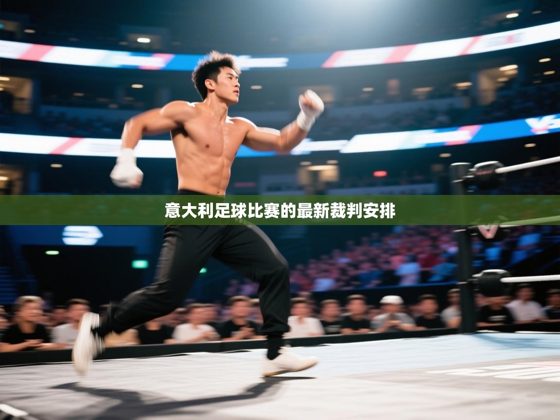 意大利足球比赛的最新裁判安排  第1张