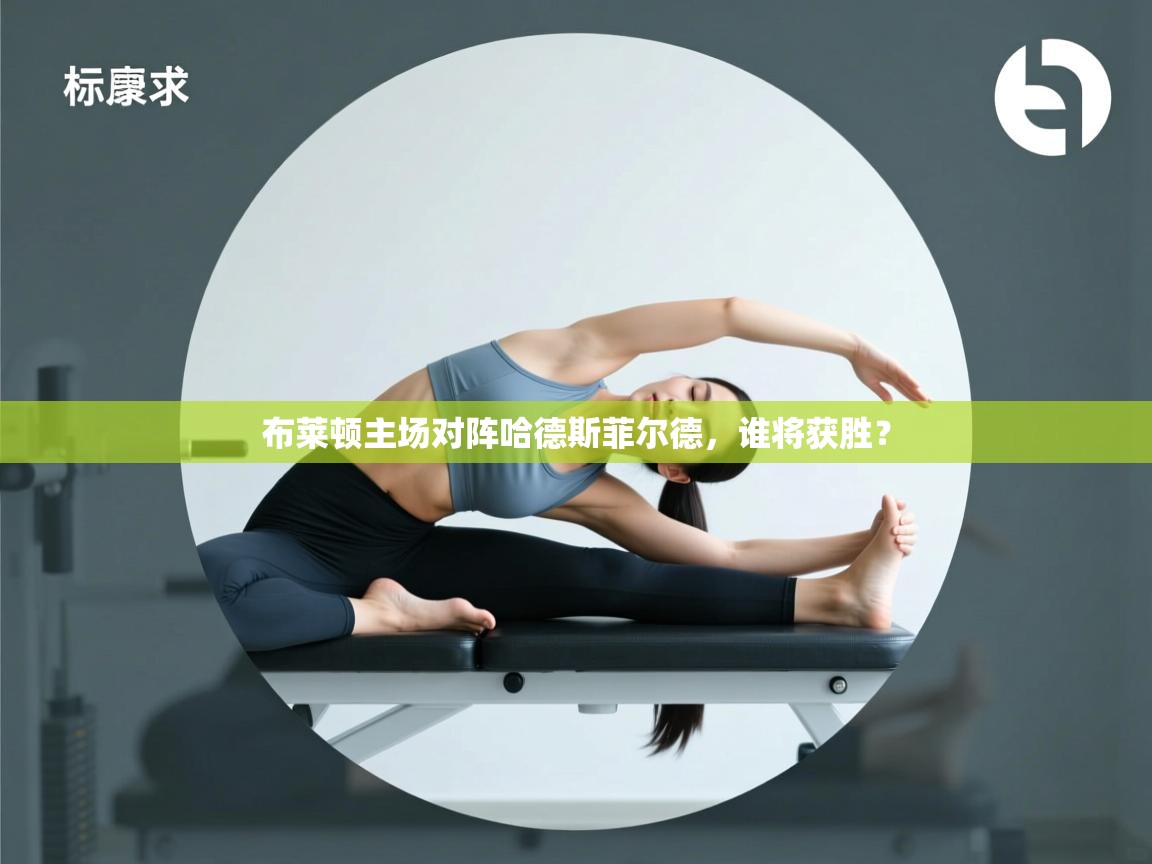 布莱顿主场对阵哈德斯菲尔德，谁将获胜？  第1张