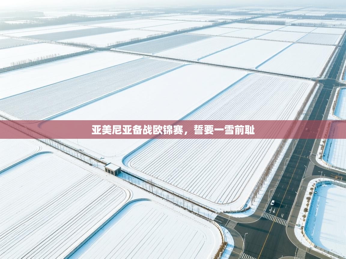 亚美尼亚备战欧锦赛，誓要一雪前耻  第1张