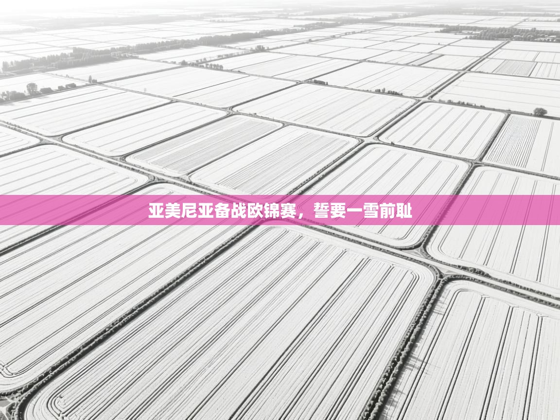 亚美尼亚备战欧锦赛，誓要一雪前耻  第2张