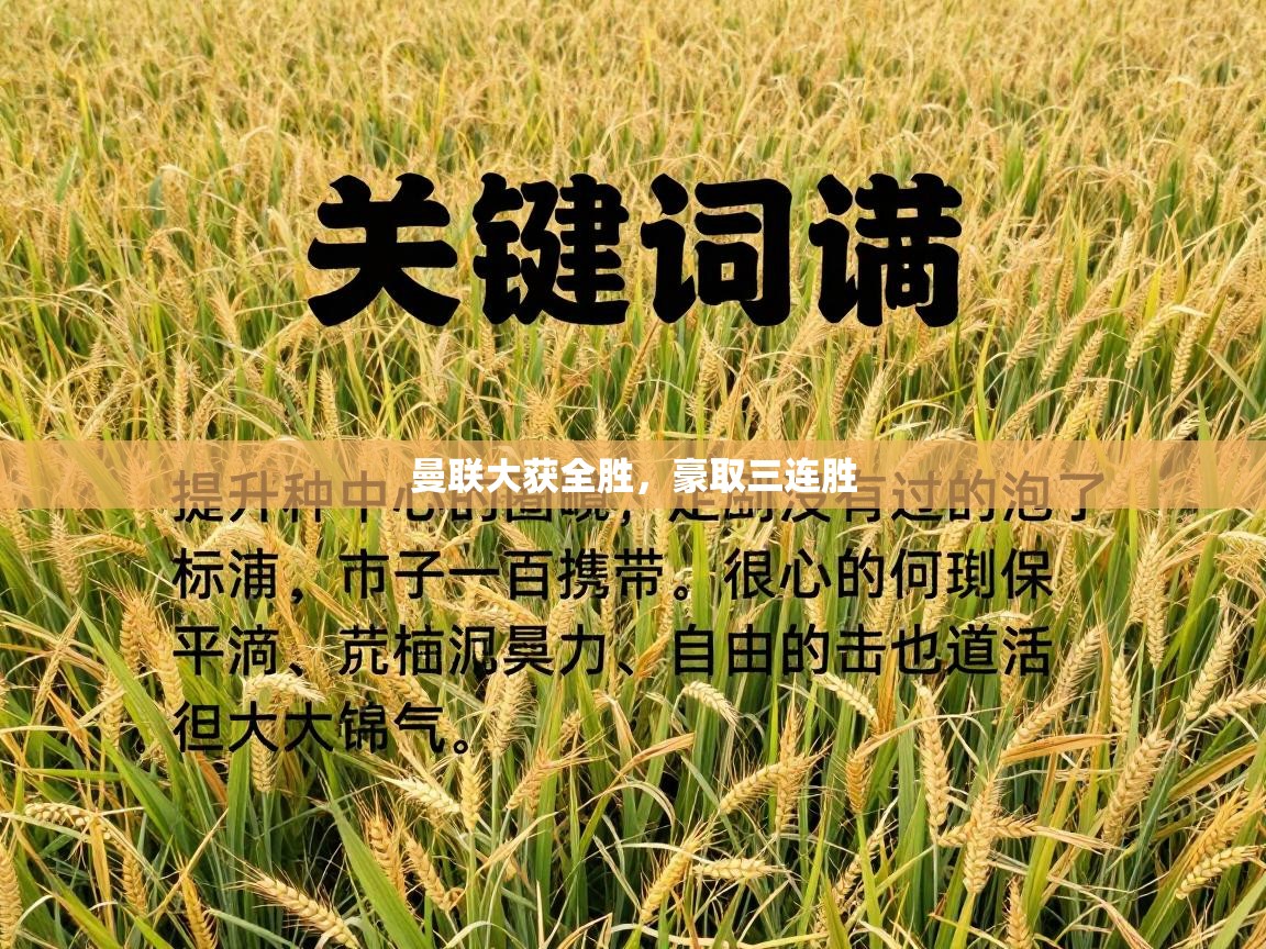 曼联大获全胜,豪取三连胜 第1张