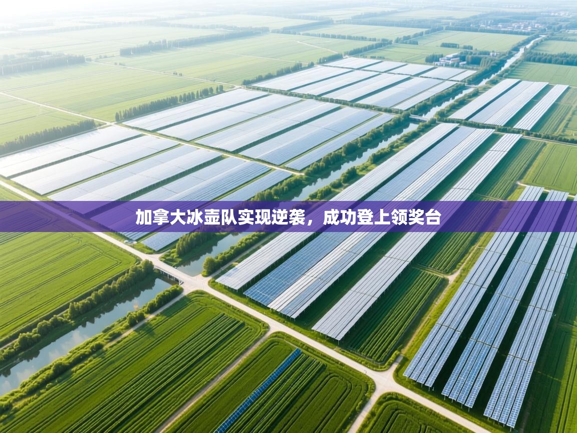 加拿大冰壶队实现逆袭,成功登上领奖台 第1张