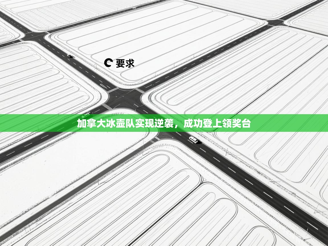 加拿大冰壶队实现逆袭,成功登上领奖台 第2张